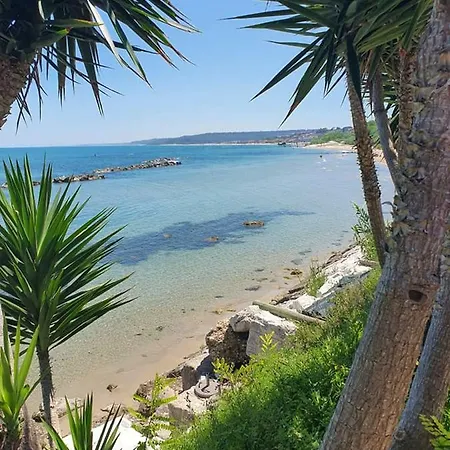 Casa A 20 Metri Dal Mare! 아파트