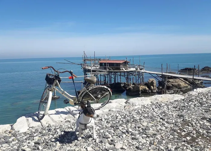 Apartamento Casa A 20 Metri Dal Mare!